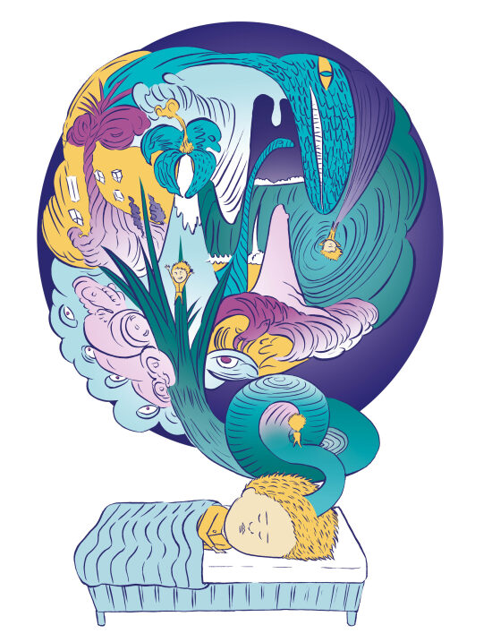 couverture Le sommeil